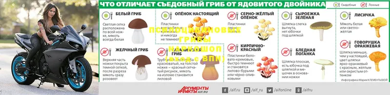 Псилоцибиновые грибы мухоморы  Знаменск 